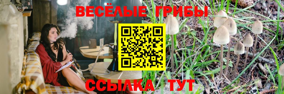 Бахчисарай  Псилоцибиновые грибы Psilocybine cubensis  дарнет шоп  Вход с VPN  Псилоцибиновые грибы Psilocybine cubensis 